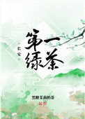 长安第一绿茶TXT小说下载